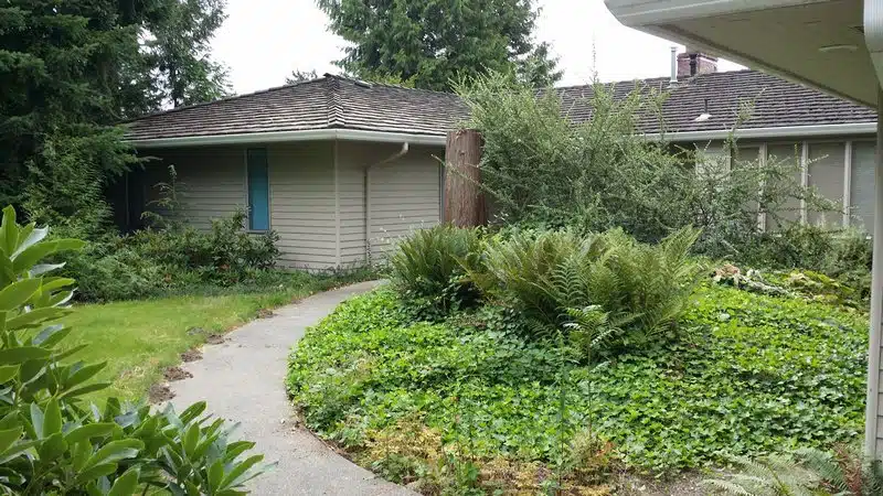 University Place Dream Homes